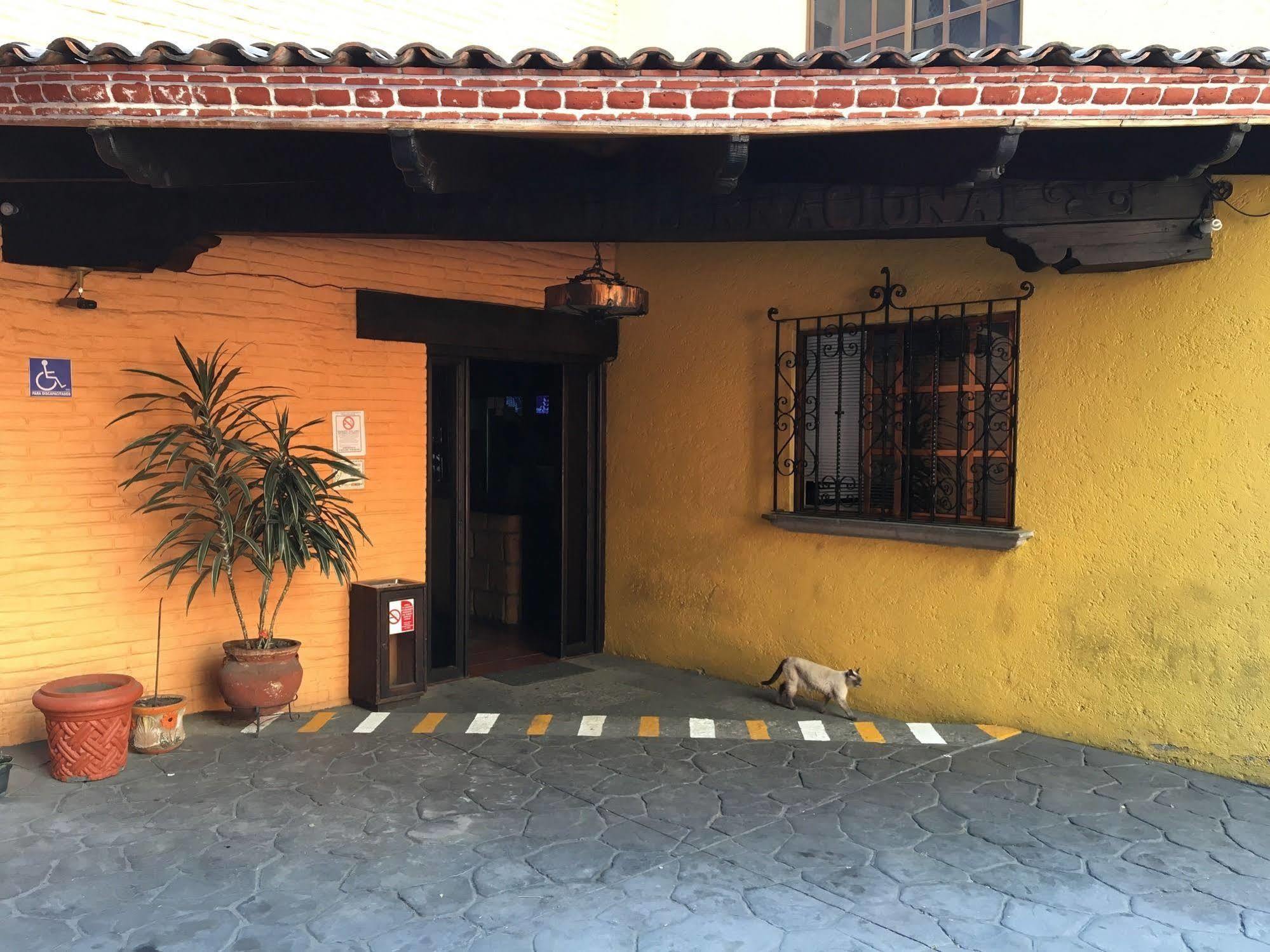 Hotel Playa Internacional Mexico Extérieur photo